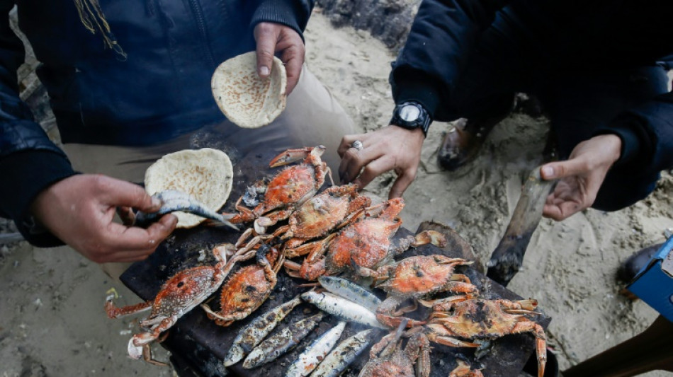 Grillabend von Gleisbauarbeitern legt in Th&uuml;ringen zeitweise Bahnverkehr lahm