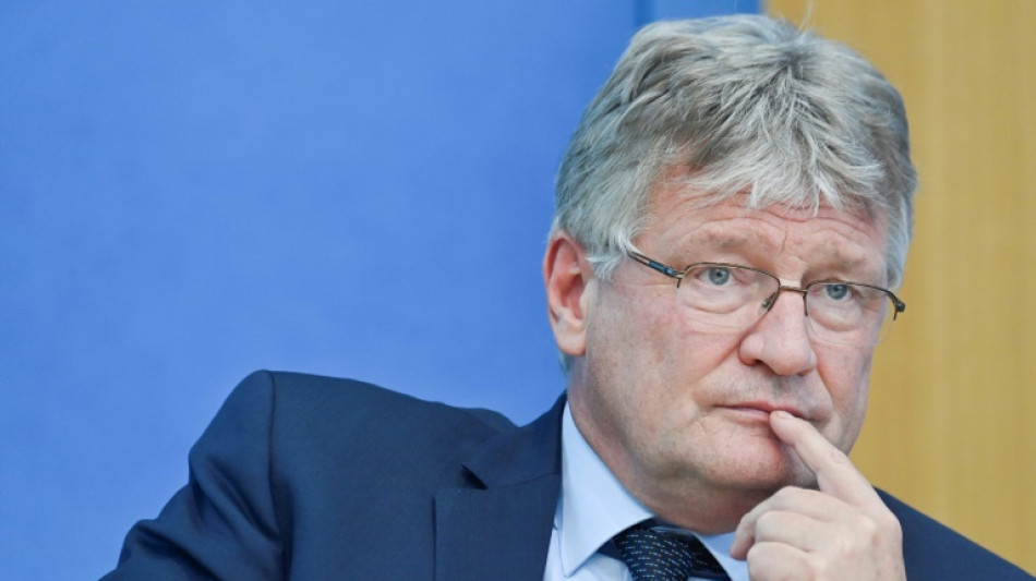 Parteichef Meuthen verl&auml;sst die AfD im Streit