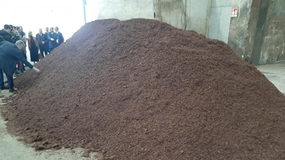 Elettricit&agrave; Futura apprezza emendamento a Dl Bollette su bioenergie