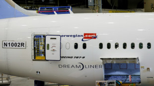 USA: le r&eacute;usinage de dizaines de 787 Dreamliner achev&eacute; d'ici fin 2024 (responsable Boeing)