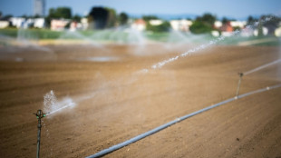 Austria registra un r&eacute;cord absoluto de temperatura con 41 &deg;C