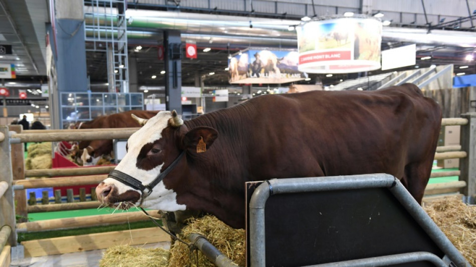 Neige, fiert&eacute; d'un agropastoralisme montagnard, a pris ses quartiers au salon