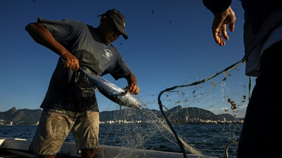Economia brasileira perde f&ocirc;lego no 2&ordm; trimestre, mas segue crescendo