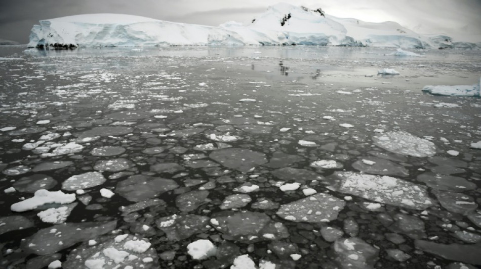 El hielo en la Antártida alcanza su tercer pico invernal más bajo en medio siglo