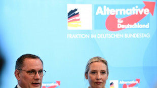 AfD reicht wegen Hochstufung Klage gegen Verfassungsschutz ein