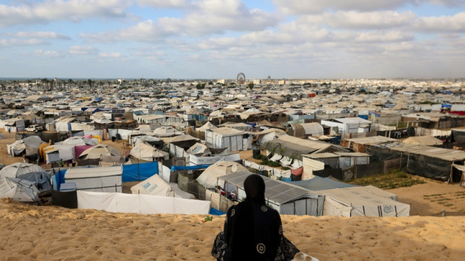 Hamas examina plano de Trump para acabar com a guerra de Gaza