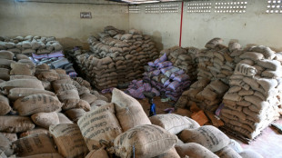Ivory Coast faces unusual pile-up of cocoa at export hubs