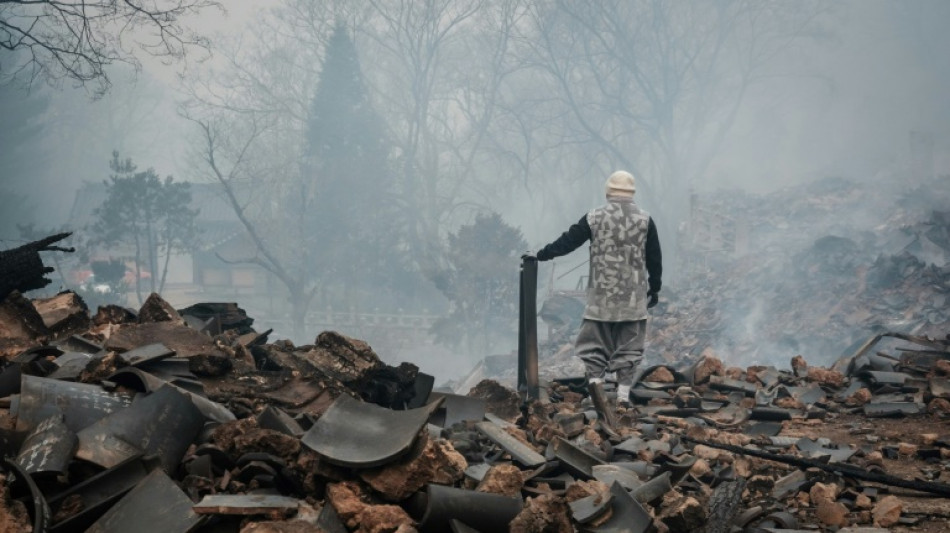 Incêndios florestais deixam 24 mortos na Coreia do Sul