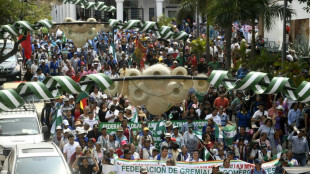Departamento boliviano entra em greve contra suposta manipula&ccedil;&atilde;o de censo demogr&aacute;fico