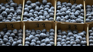 Verkaufspreise im Gro&szlig;handel gehen erneut zur&uuml;ck