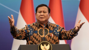 Indonesia dice que podrá recibir temporalmente a palestinos