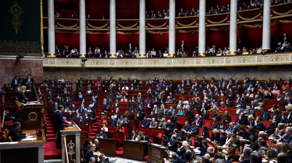 Le Parlement adopte une loi pour renforcer l'arsenal contre les ing&eacute;rences &eacute;trang&egrave;res