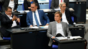 AfD-Fraktion will am Nachmittag Abstimmungsverhalten zu Unionsantr&auml;gen festlegen