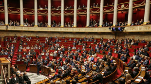 Le budget de la S&eacute;cu de retour &agrave; l'Assembl&eacute;e, les recettes rejet&eacute;es en commission