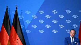 Le congrès de l'extrême droite allemande démarre au milieu des manifestations