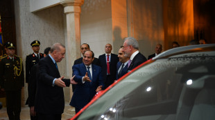 Erdogan regala ad Al Sisi un'auto elettrica turca