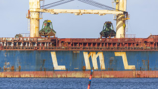 Produzione Opec crolla del 25% a marzo, mai cos&igrave; nemmeno nel 1973