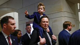 Gamers tear into Musk for 'faking' video game prowess