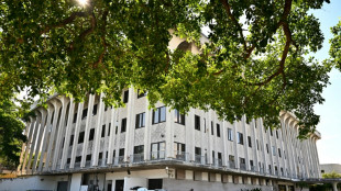Servi&ccedil;o Secreto, uma for&ccedil;a de seguran&ccedil;a sem direito a erros