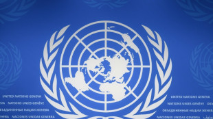 All contenders for UN chief receive veto: diplomat
