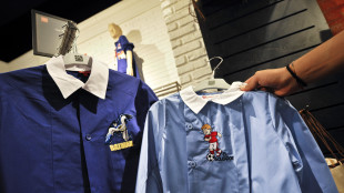 Istat, in paniere divise scuola, antifurto e ambulanze private