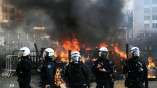 EU-Mercosur deal delayed as farmers stage Brussels show of force