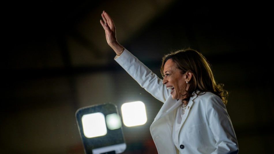Kamala conseguir&aacute; recuperar voto dos mu&ccedil;ulmanos de Michigan, crucial para os democratas?
