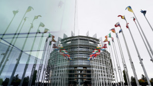 Le prix Sakharov décerné à deux journalistes emprisonnés du Bélarus et de Géorgie