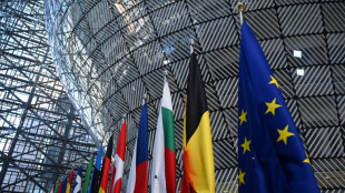 Climat : face &agrave; la grogne de l'industrie, l'Europe r&eacute;vise son march&eacute; du carbone