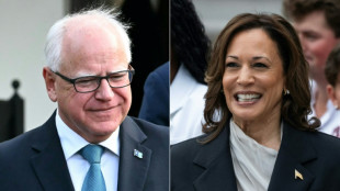 Microsoft relata aumento de opera&ccedil;&otilde;es russas de desinforma&ccedil;&atilde;o contra Kamala Harris