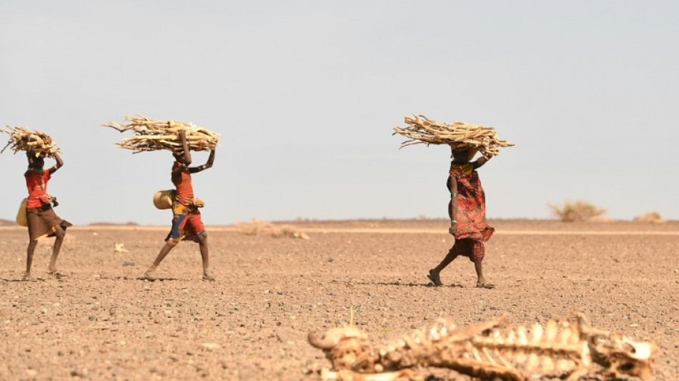 FMI: mudan&ccedil;a clim&aacute;tica pode aumentar n&uacute;mero de mortes relacionadas com conflitos