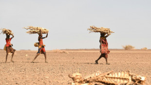 FMI: mudan&ccedil;a clim&aacute;tica pode aumentar n&uacute;mero de mortes relacionadas com conflitos