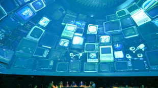 Dinamarca rivaliza en creatividad para seguir siendo basti&oacute;n de la gastronom&iacute;a mundial