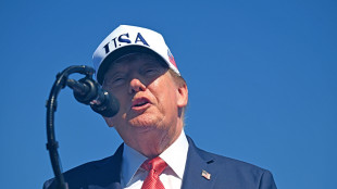 Trump: 'Il partito populista AfD ha vinto in Germania, sono in ascesa'