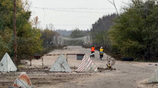 Kiev, 'partiti i civili evacuati da Oleshky'