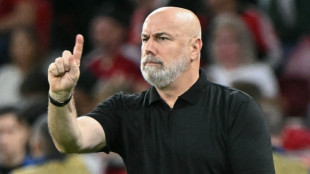 "Beispiel f&uuml;r Integration": DFB-Team f&uuml;r Barbarez ein Vorbild