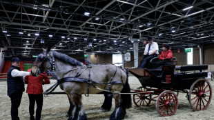 Emmanuel Macron inaugure un Salon de l'agriculture sans vaches et sans syndicats contestataires