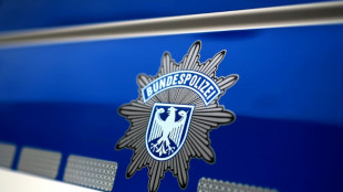 Bundespolizei registriert in diesem Jahr deutlich mehr illegale Grenz&uuml;bertritte 