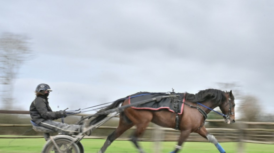 Le champion du monde du trot Idao de Tillard se qualifie pour l'Amérique