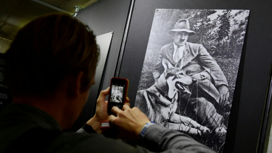 Hitler likely had genetic condition limiting sexual development: research