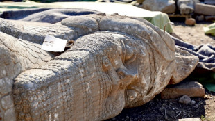 Arque&oacute;logos reconstituem 'tesouros da Mesopot&acirc;mia' destru&iacute;dos por jihadistas no Iraque