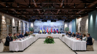 Nouveaux pourparlers directs à Istanbul entre Russes et Ukrainiens