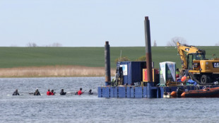Transport in Richtung Nordsee: Frachtkahn mit Buckelwal verl&auml;sst Wismarer Bucht