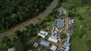 Panam&aacute; deporta primeiro grupo de migrantes detidos em Dari&eacute;n sob acordo com EUA