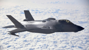 Haushaltsausschuss gibt Mittel f&uuml;r Kauf von F-35-Kampfjet frei