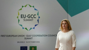 UE e pa&iacute;ses do Golfo pedem fim da 'escalada perigosa' no Oriente M&eacute;dio