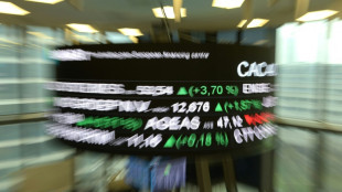 Repli &agrave; la Bourse de Paris face aux perspectives &eacute;conomiques moroses