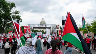 Milhares protestam contra Netanyahu em frente ao Capit&oacute;lio dos EUA