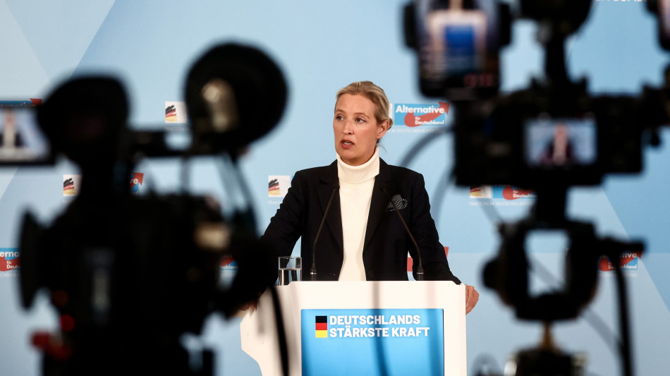 In Germania i Servizi classificano Afd come destra estrema