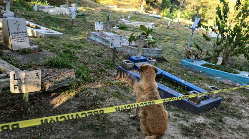 M&eacute;xico acelera busca por desaparecidos no maior cemit&eacute;rio do pa&iacute;s